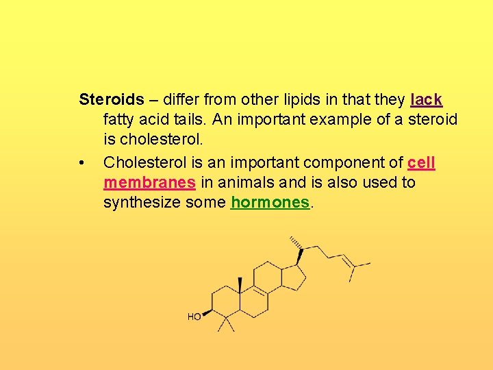 Steroids – differ from other lipids in that they lack fatty acid tails. An