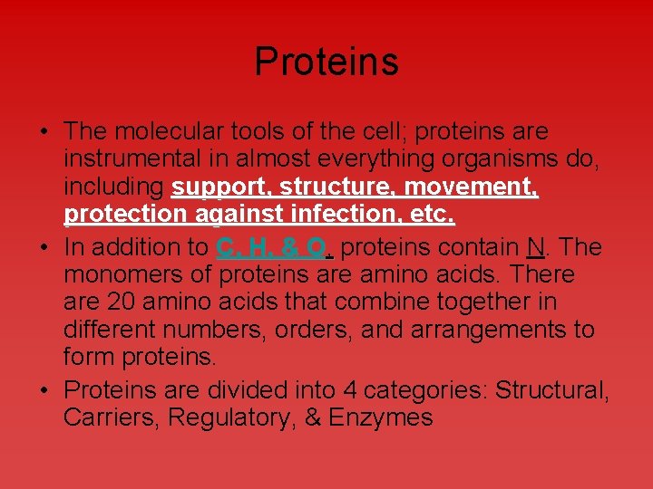 Proteins • The molecular tools of the cell; proteins are instrumental in almost everything