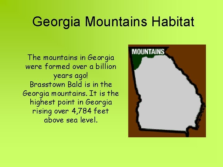 Georgia Mountains Habitat The mountains in Georgia were formed over a billion years ago!