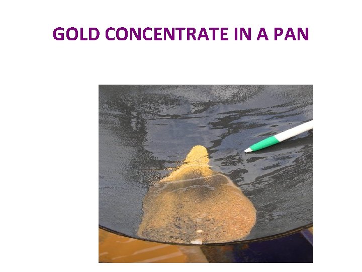 GOLD CONCENTRATE IN A PAN 