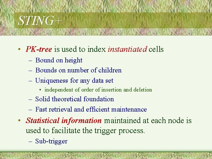 STING+ • PK-tree is used to index instantiated cells – Bound on height –