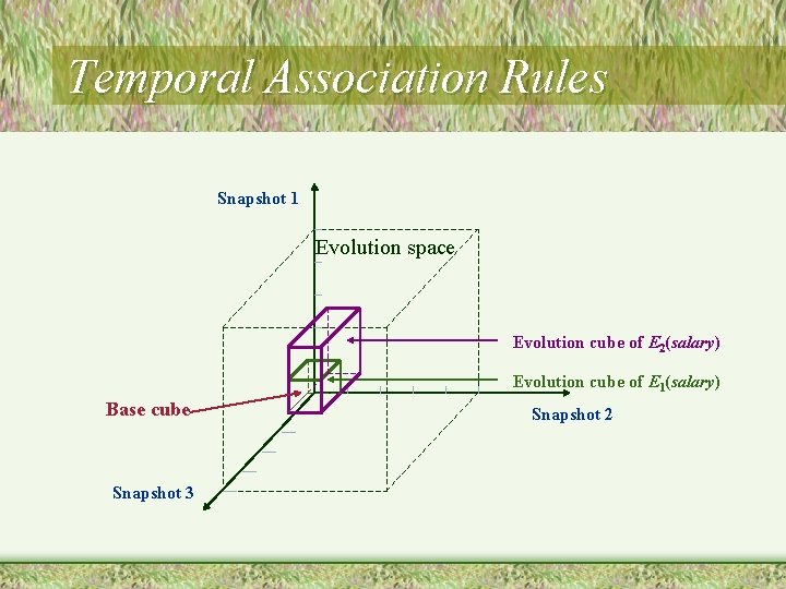 Temporal Association Rules Snapshot 1 Evolution space Evolution cube of E 2(salary) Evolution cube