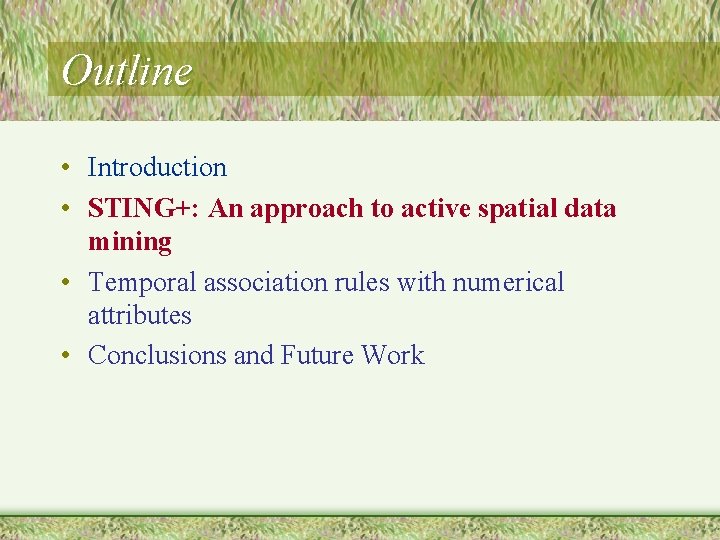 Outline • Introduction • STING+: An approach to active spatial data mining • Temporal