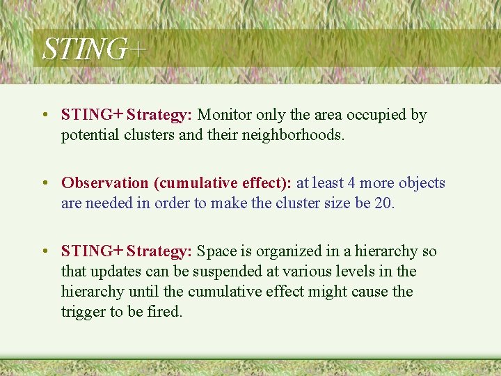 STING+ • STING+ Strategy: Monitor only the area occupied by potential clusters and their
