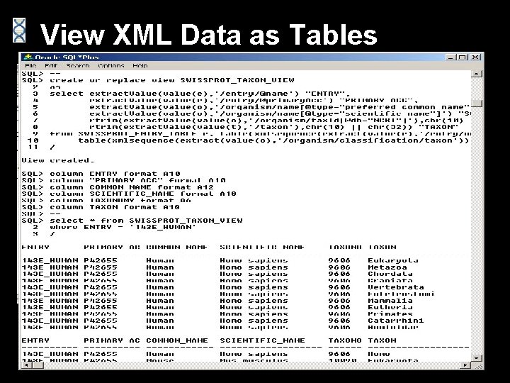 View XML Data as Tables 