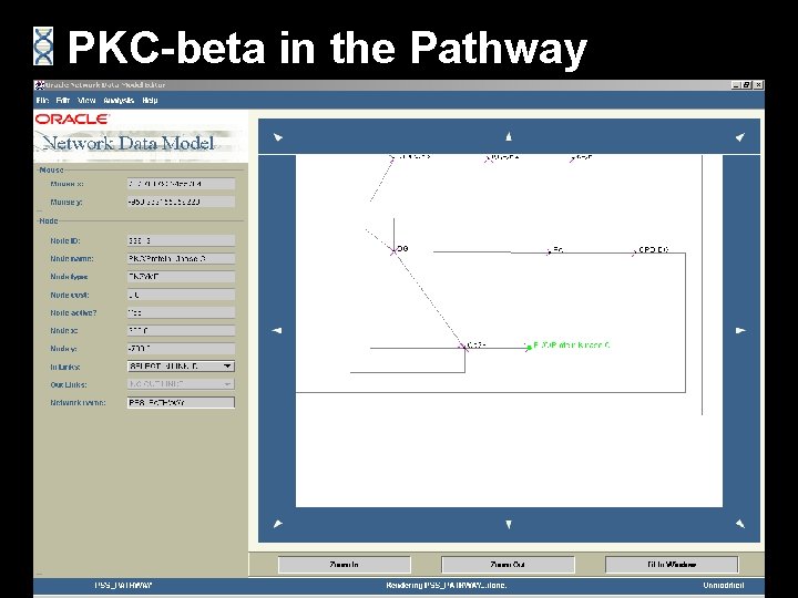 PKC-beta in the Pathway 