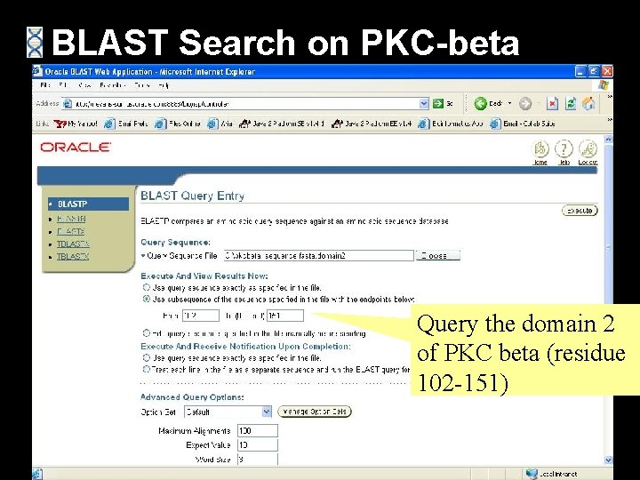 BLAST Search on PKC-beta Query the domain 2 of PKC beta (residue 102 -151)