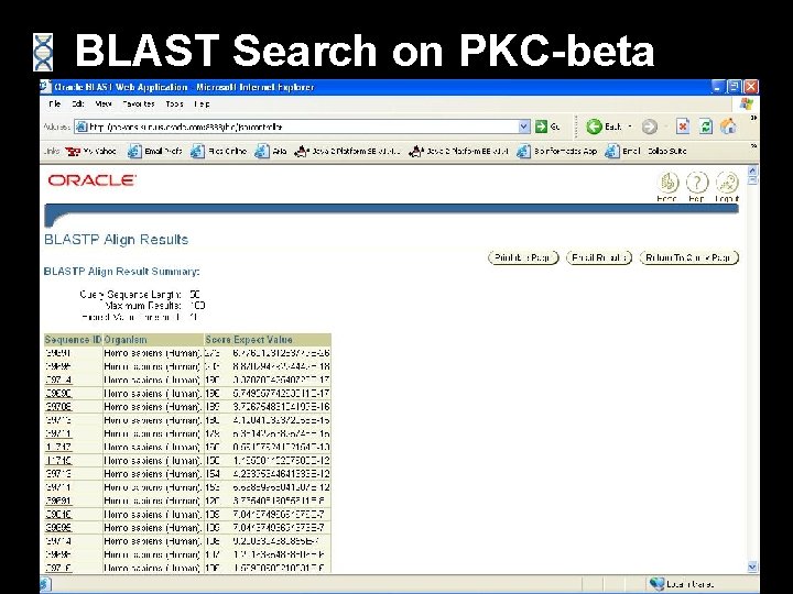 BLAST Search on PKC-beta 