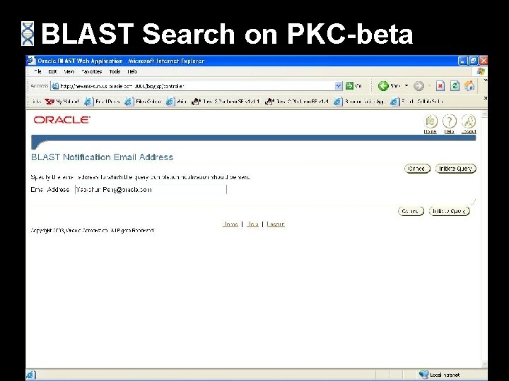 BLAST Search on PKC-beta 