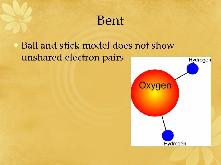 Bent • Ball and stick model does not show unshared electron pairs 
