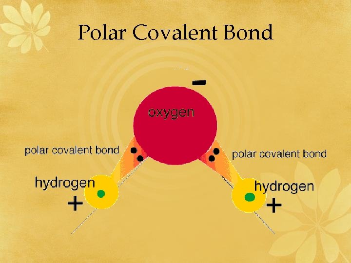 Polar Covalent Bond 
