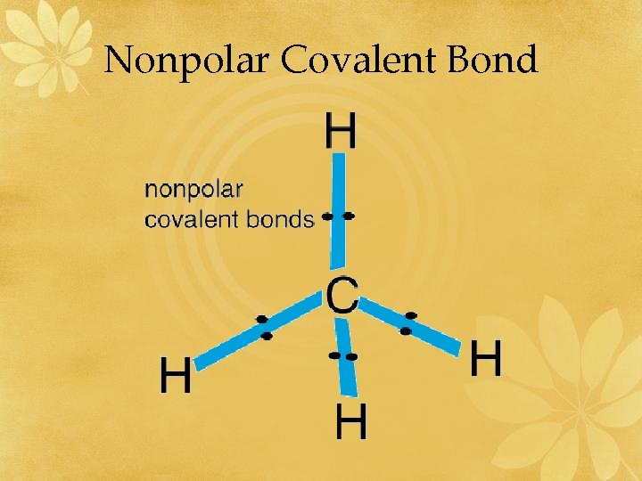 Nonpolar Covalent Bond 