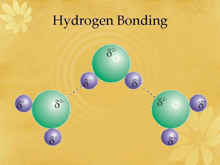 Hydrogen Bonding 