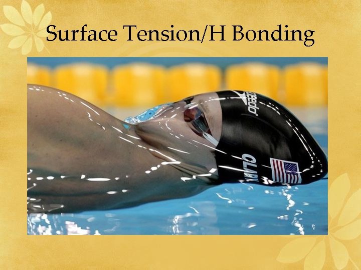 Surface Tension/H Bonding 