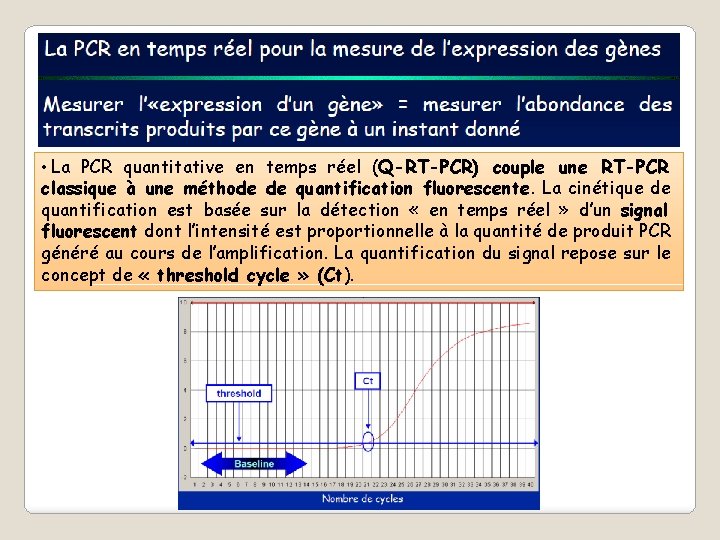  • La PCR quantitative en temps réel (Q-RT-PCR) couple une RT-PCR classique à