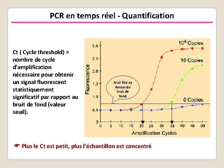 PCR en temps réel - Quantification Valeurs de fluorescence corrélées à la quantité de