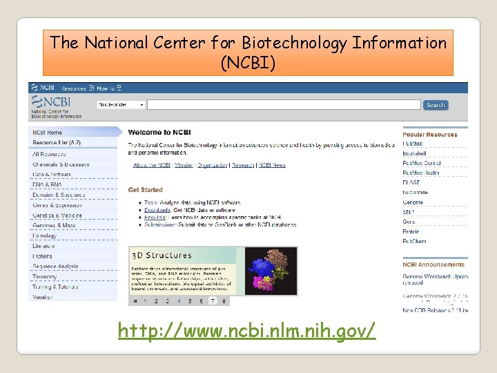 The National Center for Biotechnology Information (NCBI) http: //www. ncbi. nlm. nih. gov/ 