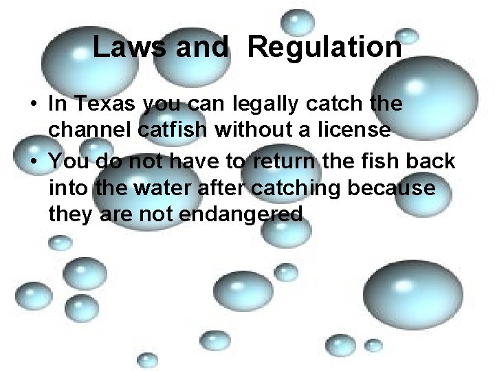 Laws and Regulation • In Texas you can legally catch the channel catfish without