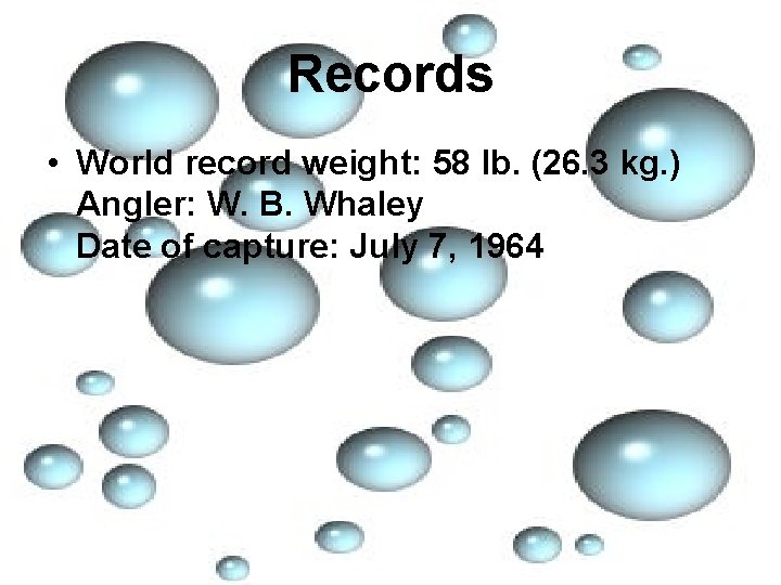 Records • World record weight: 58 lb. (26. 3 kg. ) Angler: W. B.