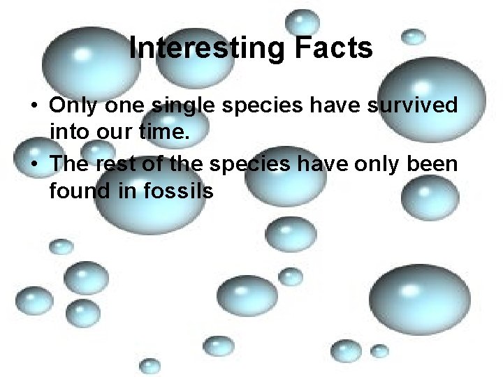 Interesting Facts • Only one single species have survived into our time. • The