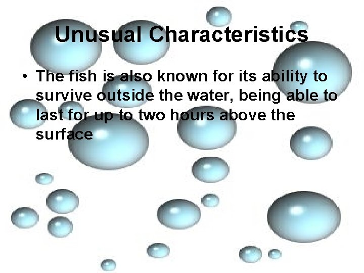Unusual Characteristics • The fish is also known for its ability to survive outside