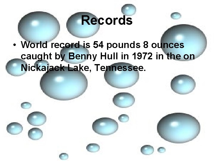 Records • World record is 54 pounds 8 ounces caught by Benny Hull in