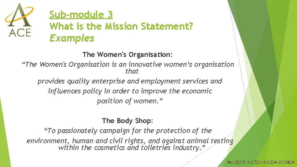 Sub-module 3 What is the Mission Statement? Examples The Women's Organisation: “The Women's Organisation