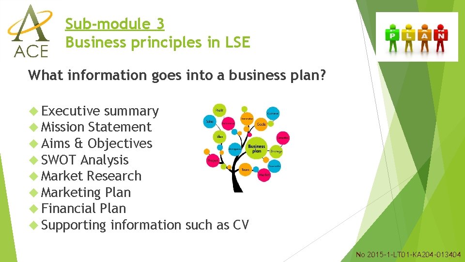 Sub-module 3 Business principles in LSE What information goes into a business plan? Executive