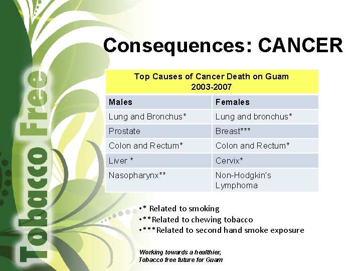 Consequences: CANCER Top Causes of Cancer Death on Guam 2003 -2007 Males Females Lung