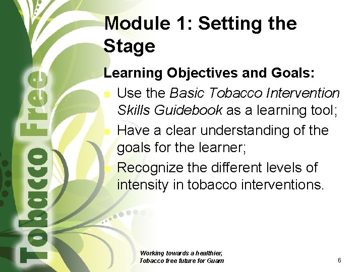 Module 1: Setting the Stage Learning Objectives and Goals: n Use the Basic Tobacco