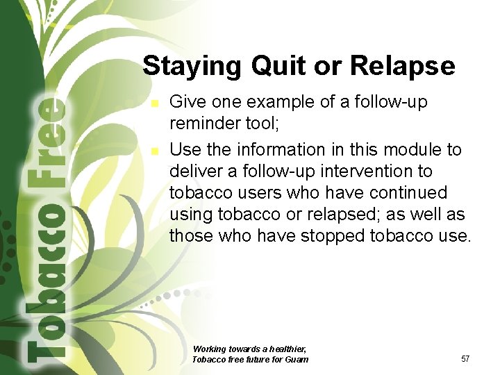 Staying Quit or Relapse n n Give one example of a follow-up reminder tool;