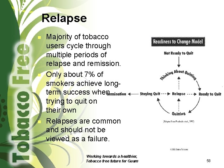 Relapse n n n Majority of tobacco users cycle through multiple periods of relapse