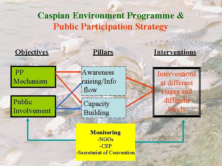 Caspian Environment Programme & Public Participation Strategy Objectives Pillars PP Mechanism Awareness raising/Info flow