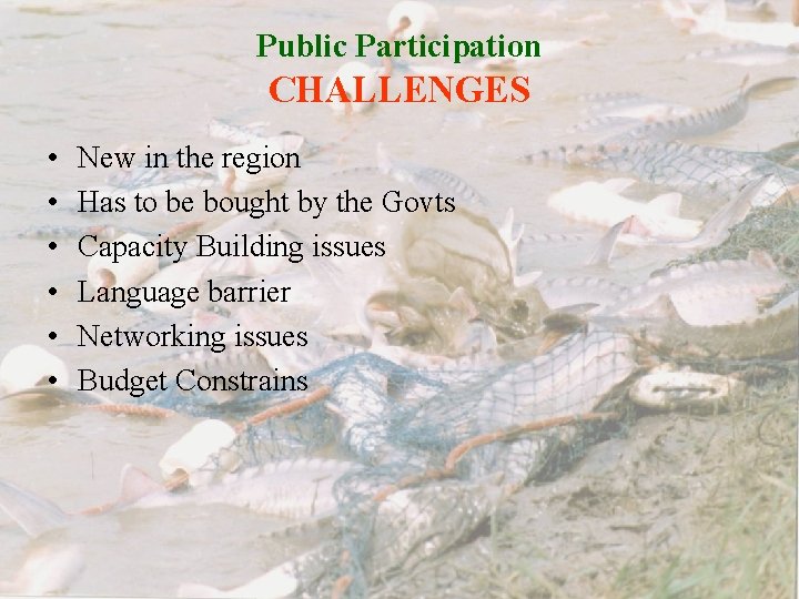 Public Participation CHALLENGES • • • New in the region Has to be bought