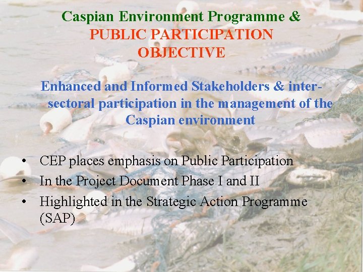 Caspian Environment Programme & PUBLIC PARTICIPATION OBJECTIVE Enhanced and Informed Stakeholders & intersectoral participation