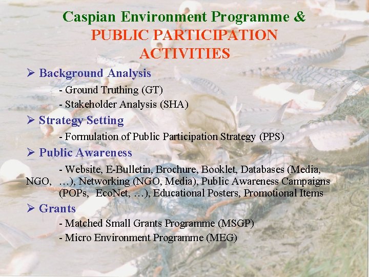 Caspian Environment Programme & PUBLIC PARTICIPATION ACTIVITIES Ø Background Analysis - Ground Truthing (GT)