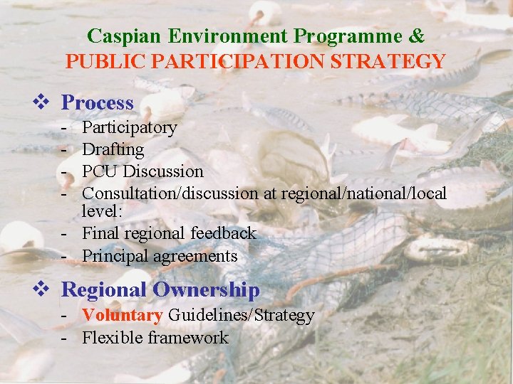 Caspian Environment Programme & PUBLIC PARTICIPATION STRATEGY v Process - Participatory Drafting PCU Discussion
