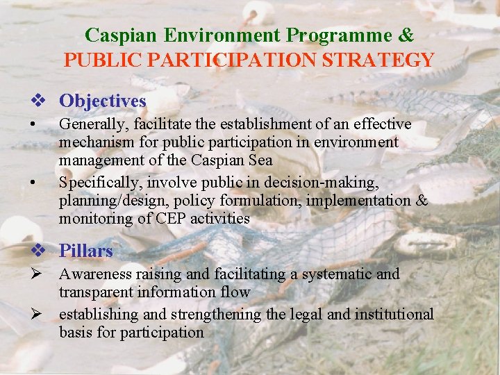 Caspian Environment Programme & PUBLIC PARTICIPATION STRATEGY v Objectives • • Generally, facilitate the