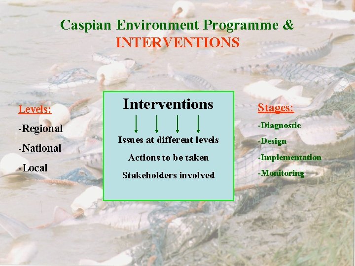 Caspian Environment Programme & INTERVENTIONS Levels: -Regional -National -Local Interventions Stages: -Diagnostic Issues at