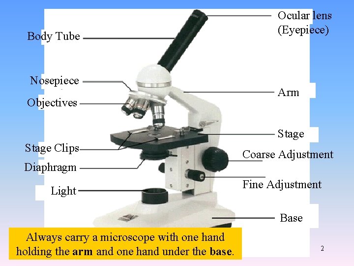 Body Tube Nosepiece Objectives Ocular lens (Eyepiece) Arm Stage Clips Diaphragm Light Coarse Adjustment