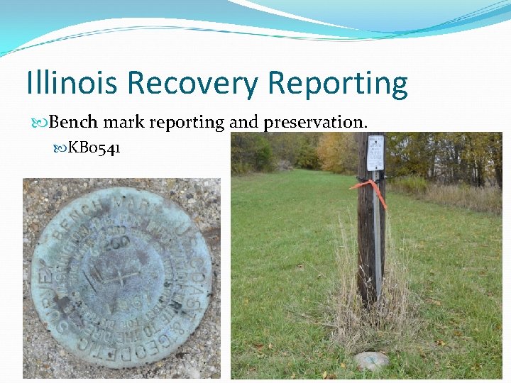 Illinois Recovery Reporting Bench mark reporting and preservation. KB 0541 