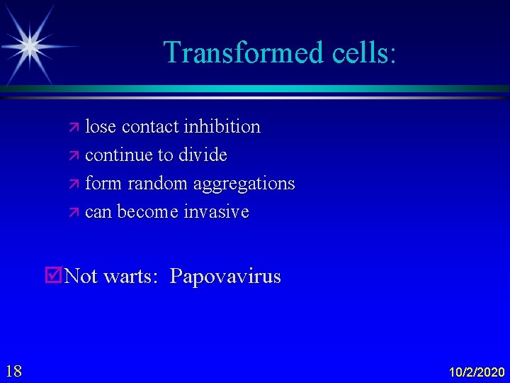 Transformed cells: ä lose contact inhibition ä continue to divide ä form random aggregations