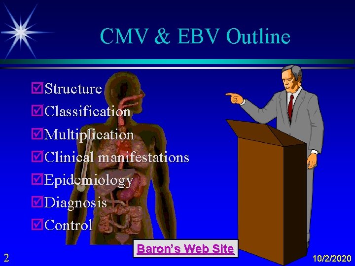 CMV & EBV Outline þStructure þClassification þMultiplication þClinical manifestations þEpidemiology þDiagnosis þControl 2 Baron’s