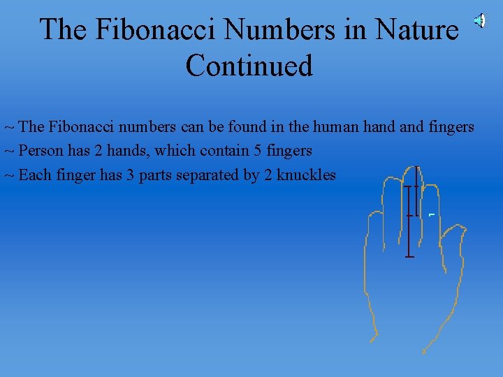 The Fibonacci Numbers in Nature Continued ~ The Fibonacci numbers can be found in