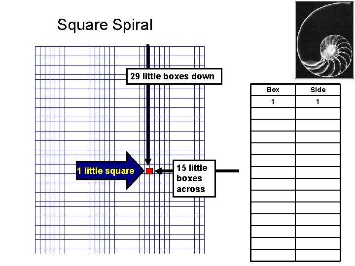 Square Spiral 29 little boxes down 1 little square 15 little boxes across Box