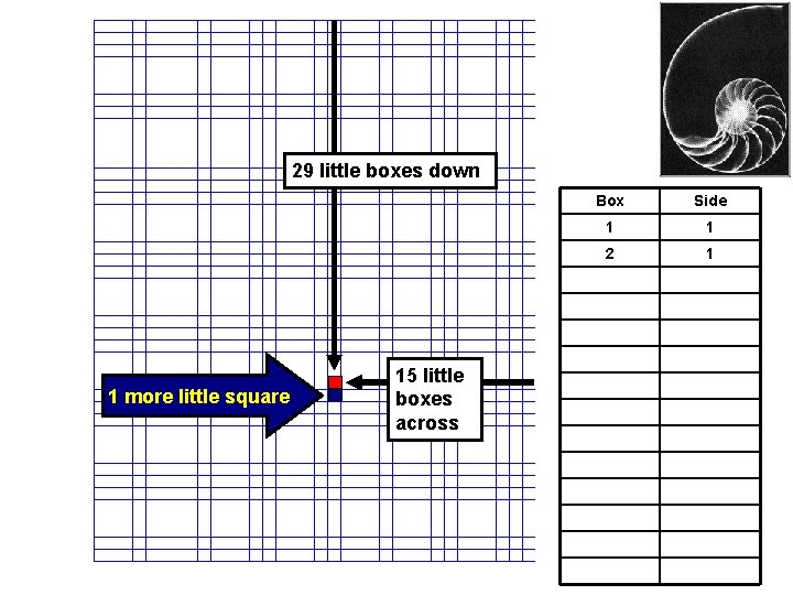 29 little boxes down 1 more little square 15 little boxes across Box Side