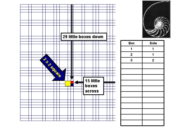 29 little boxes down 2 x 2 e ar u sq 15 little boxes