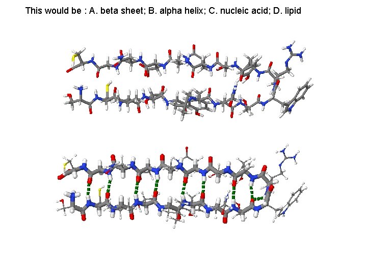 This would be : A. beta sheet; B. alpha helix; C. nucleic acid; D.