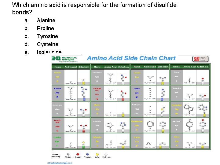 Which amino acid is responsible for the formation of disulfide bonds? a. b. c.