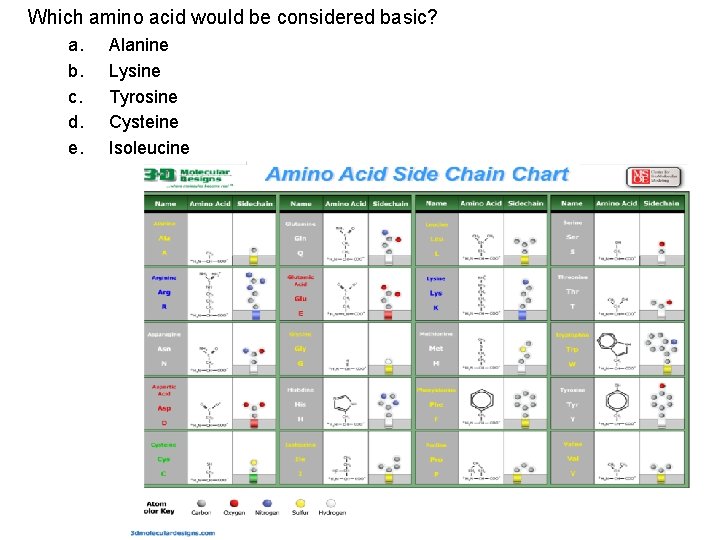 Which amino acid would be considered basic? a. b. c. d. e. Alanine Lysine